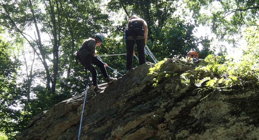 From the ground looking up, two people wearing safety gear are secured by ropes as they stand on the ledge of a rocky cliff. Above them are green trees.